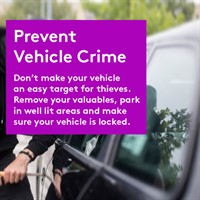 Vehicle Crime